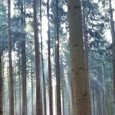 Komfort-ferienhaus Wolke #56 * Extertal