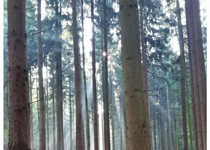 Komfort-ferienhaus Wolke #56 * 埃克斯特塔尔